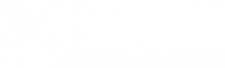 Camlog_Biohorizons_Logo_WHITE (1)